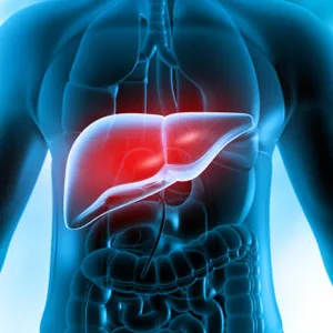 liver health supplement